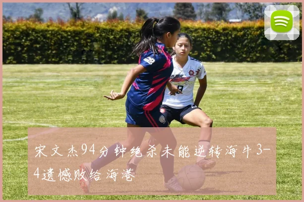 宋文杰94分钟绝杀未能逆转海牛3-4遗憾败给海港